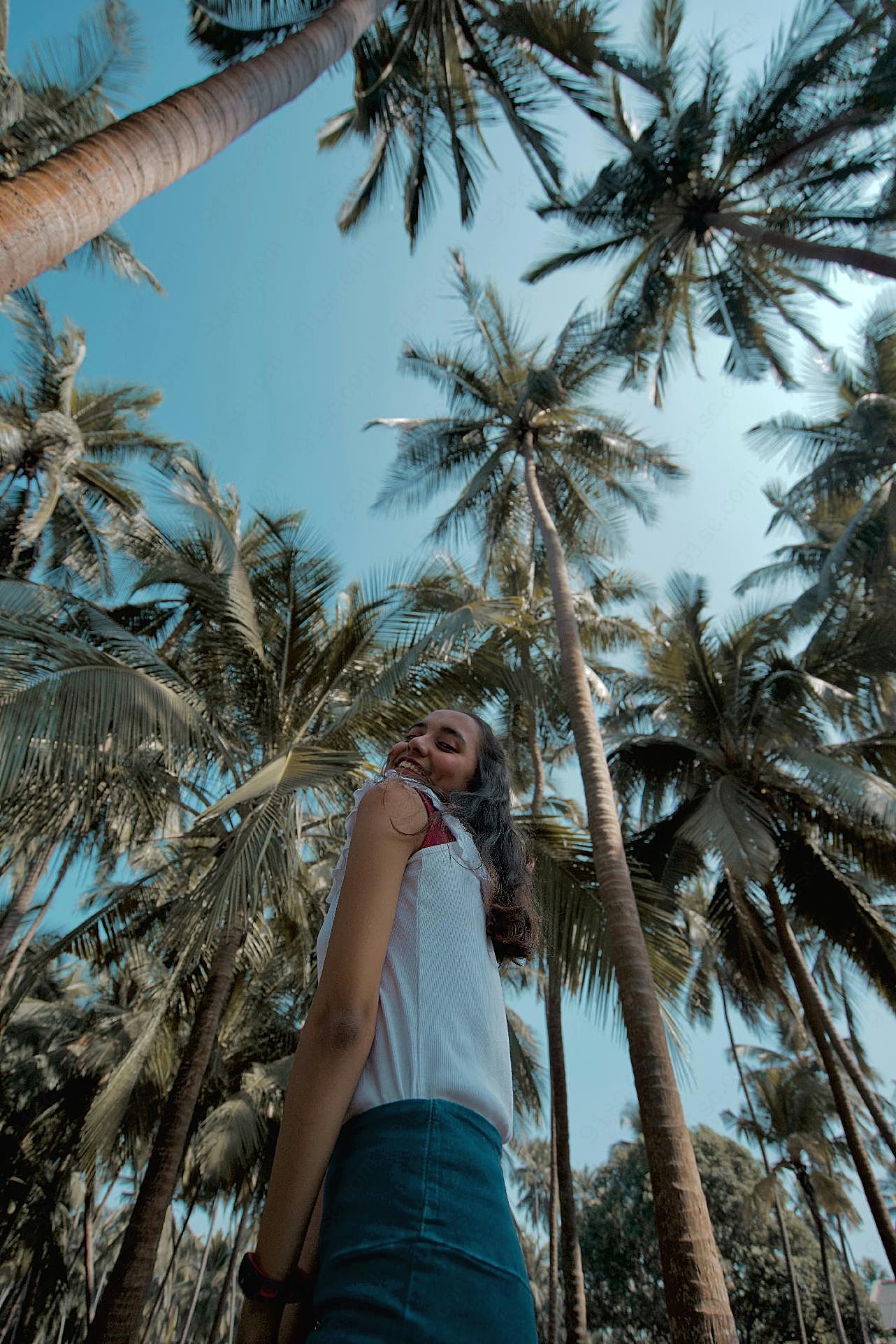 热带棕榈树美女风景图片人物