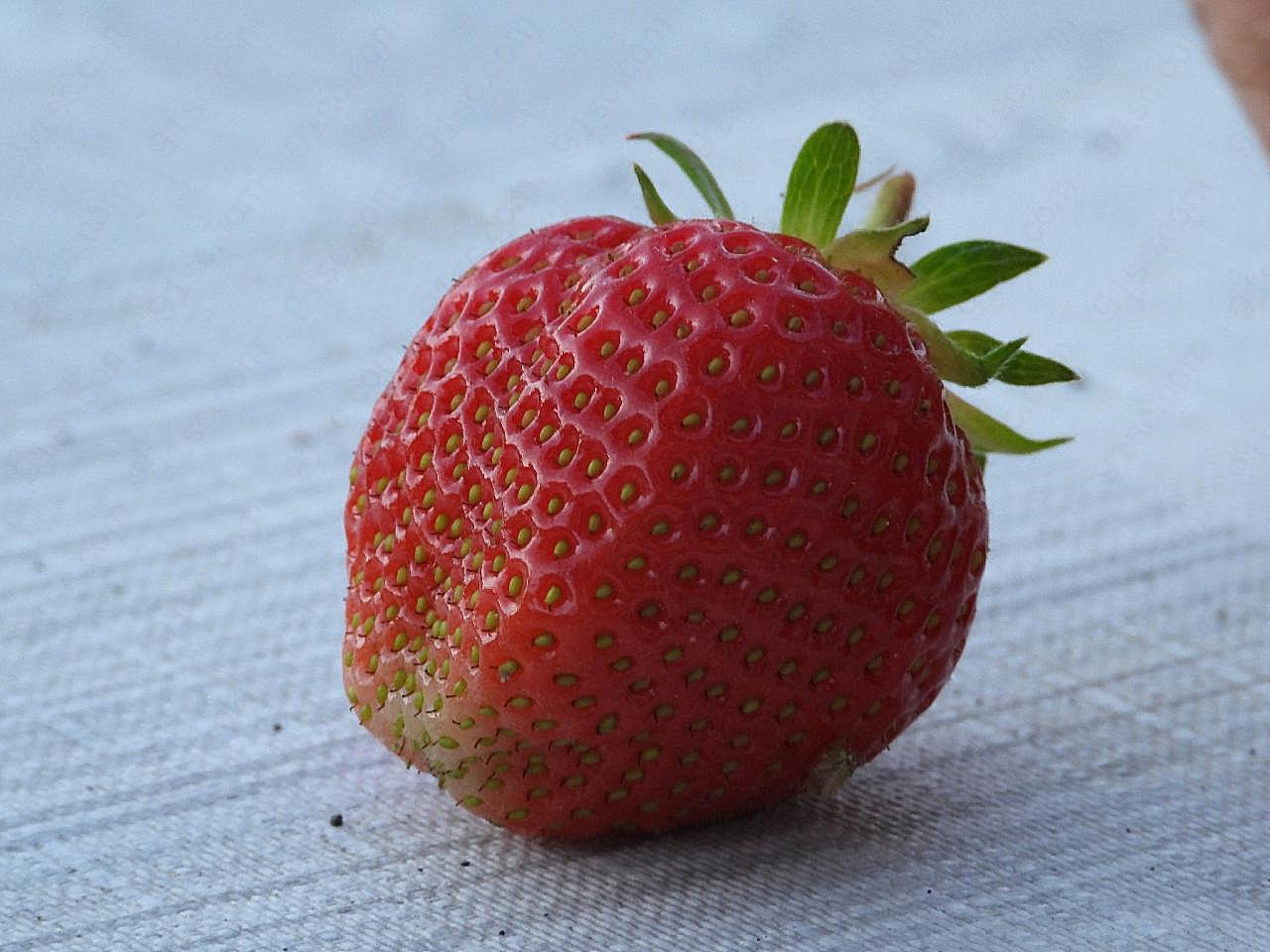 成熟草莓特写图片高清