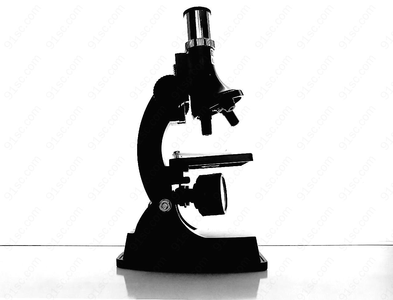显微镜图片百科