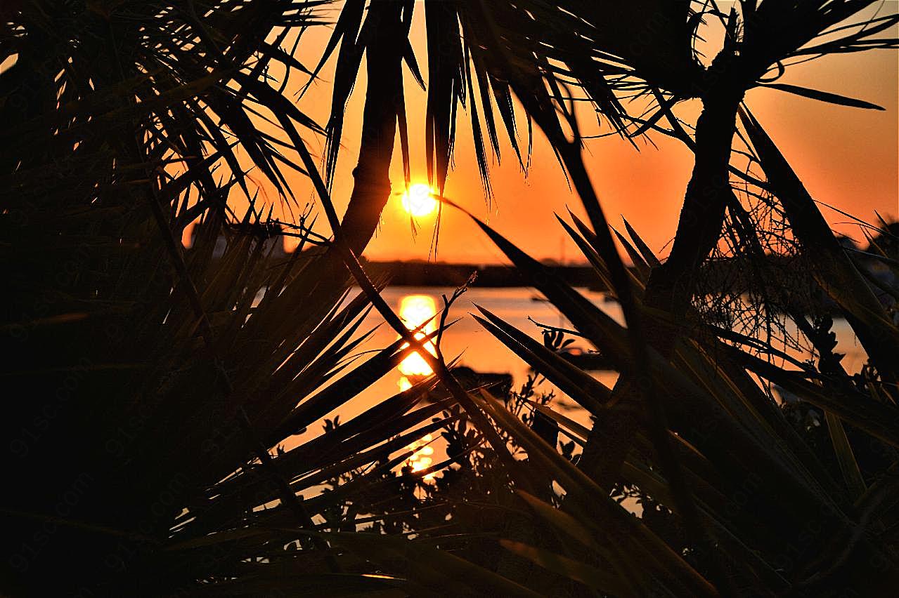 巴厘岛日落剪影图片黄昏