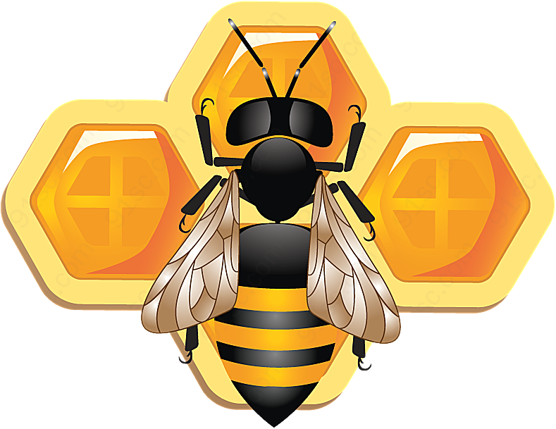 黄色3d蜜蜂和蜂窝矢量昆虫 矢量昆虫 矢量生物 矢量图库 91素材