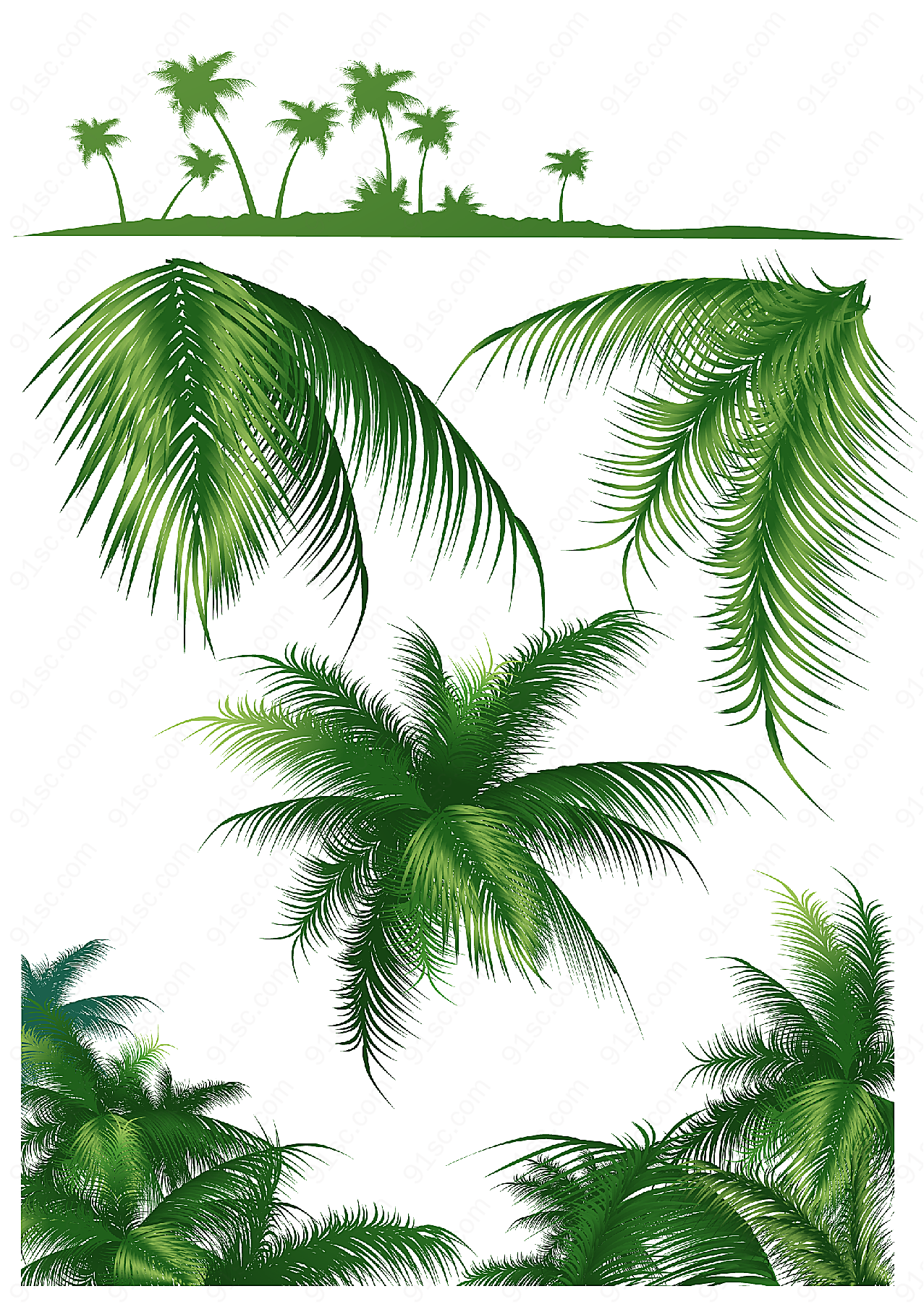 椰子树系列矢量矢量花草树木