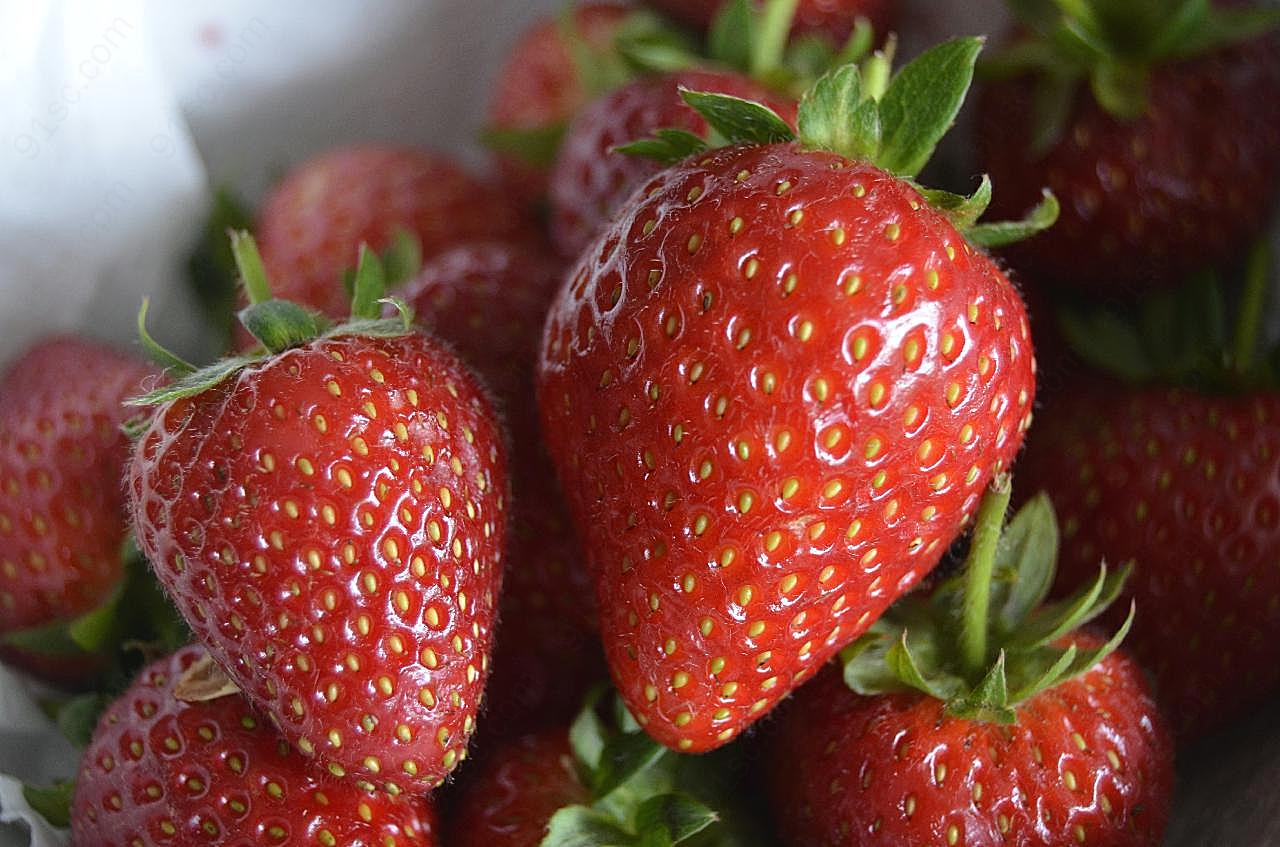 草莓食物图片摄影高清