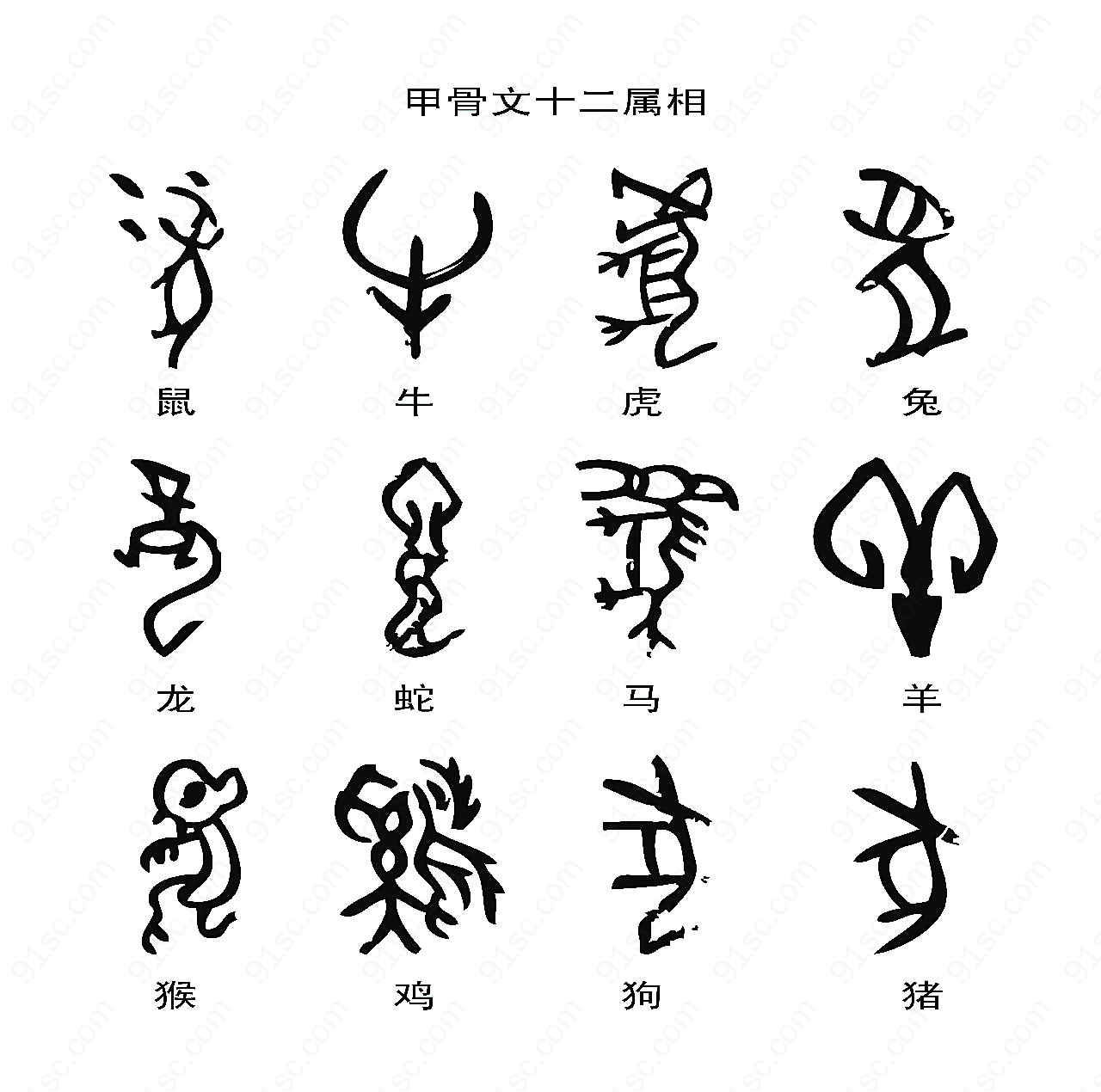 十二生肖甲骨文图片高清