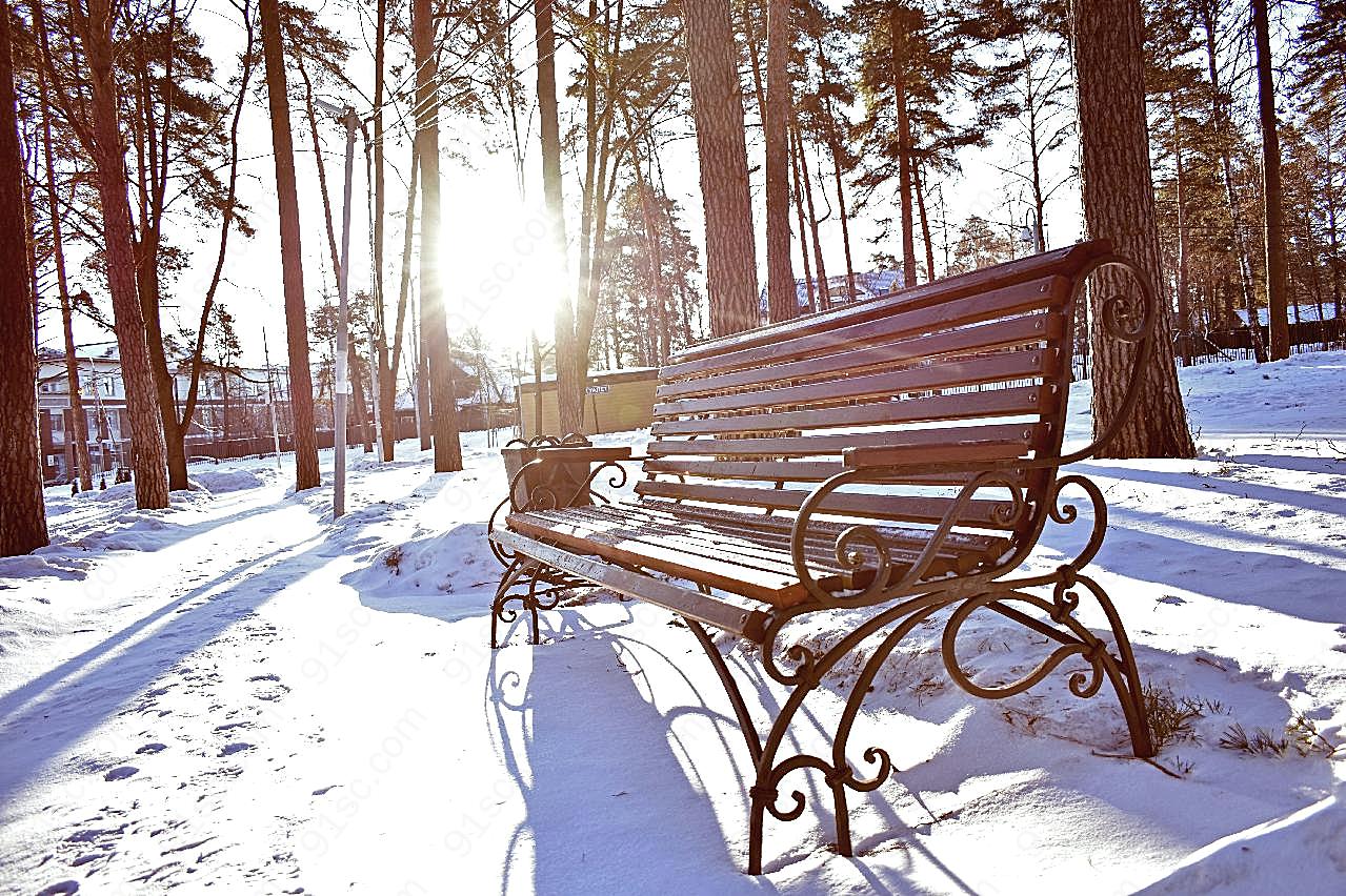 清晨雪地休闲靠椅图片高清