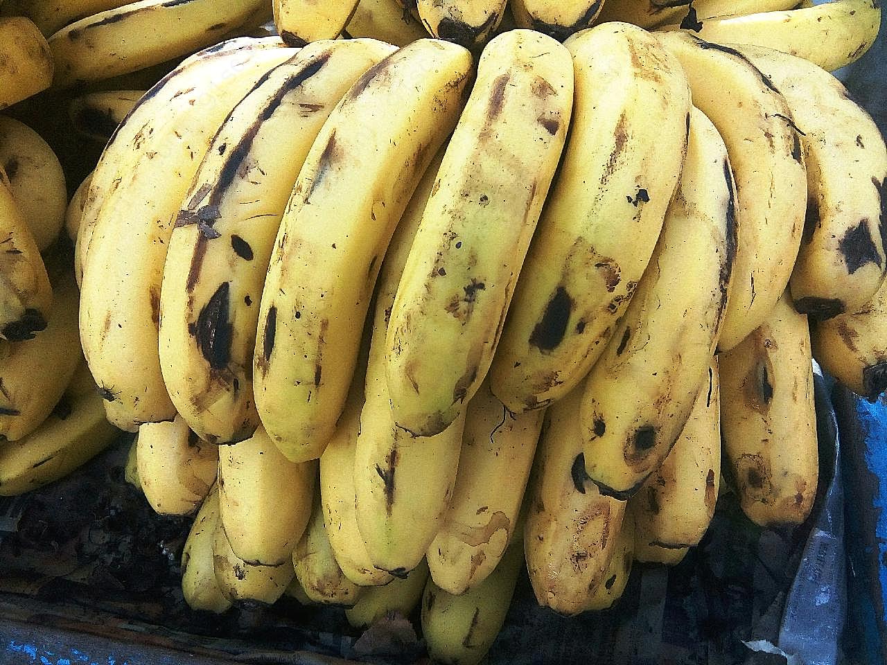 一串熟香蕉图片水果