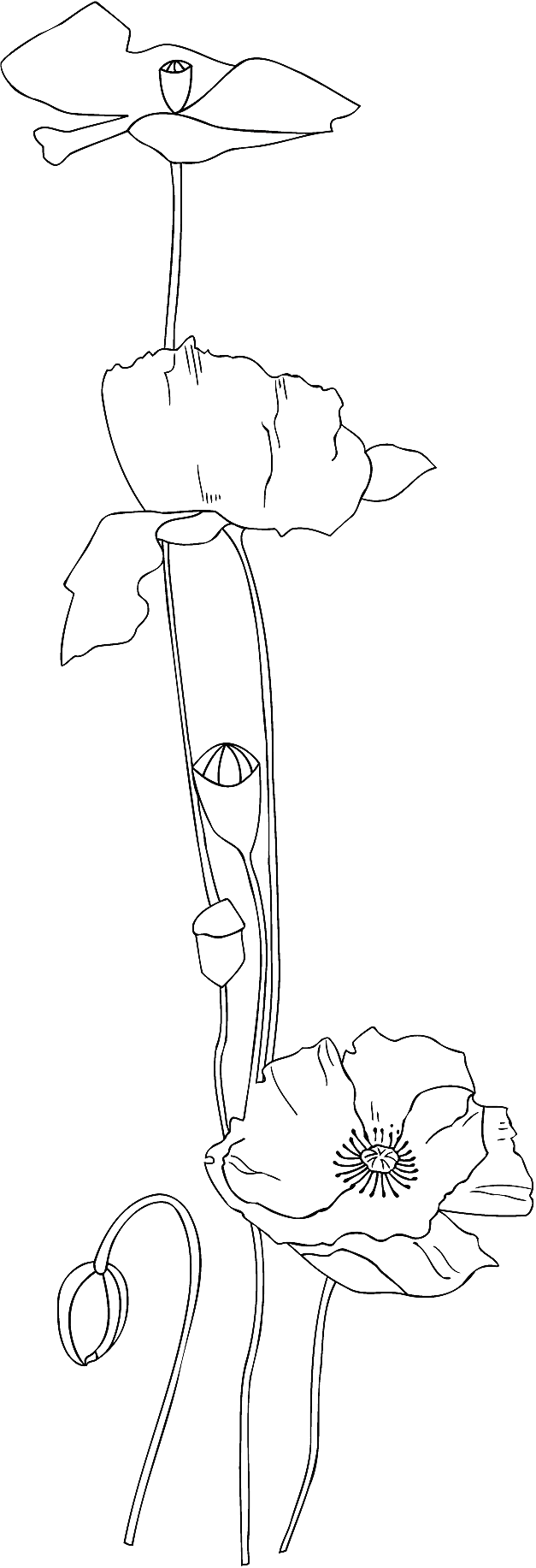 韩国矢量精美花纹矢量花纹