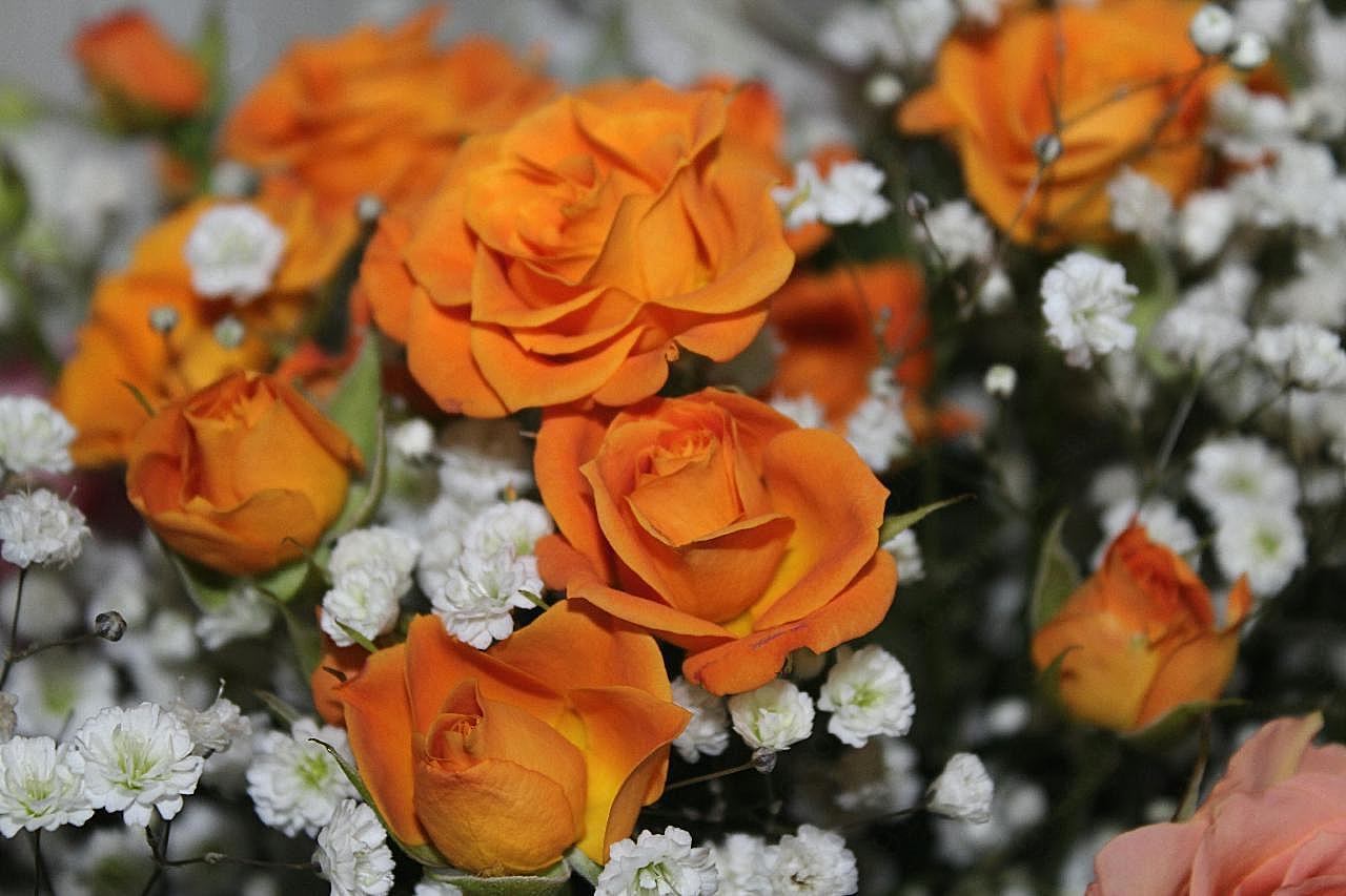 浪漫橙色束图片玫瑰花