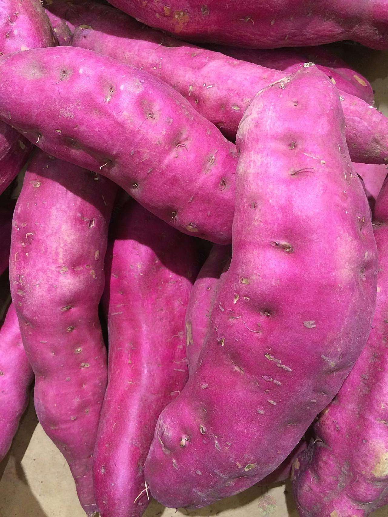 紫薯图片食物