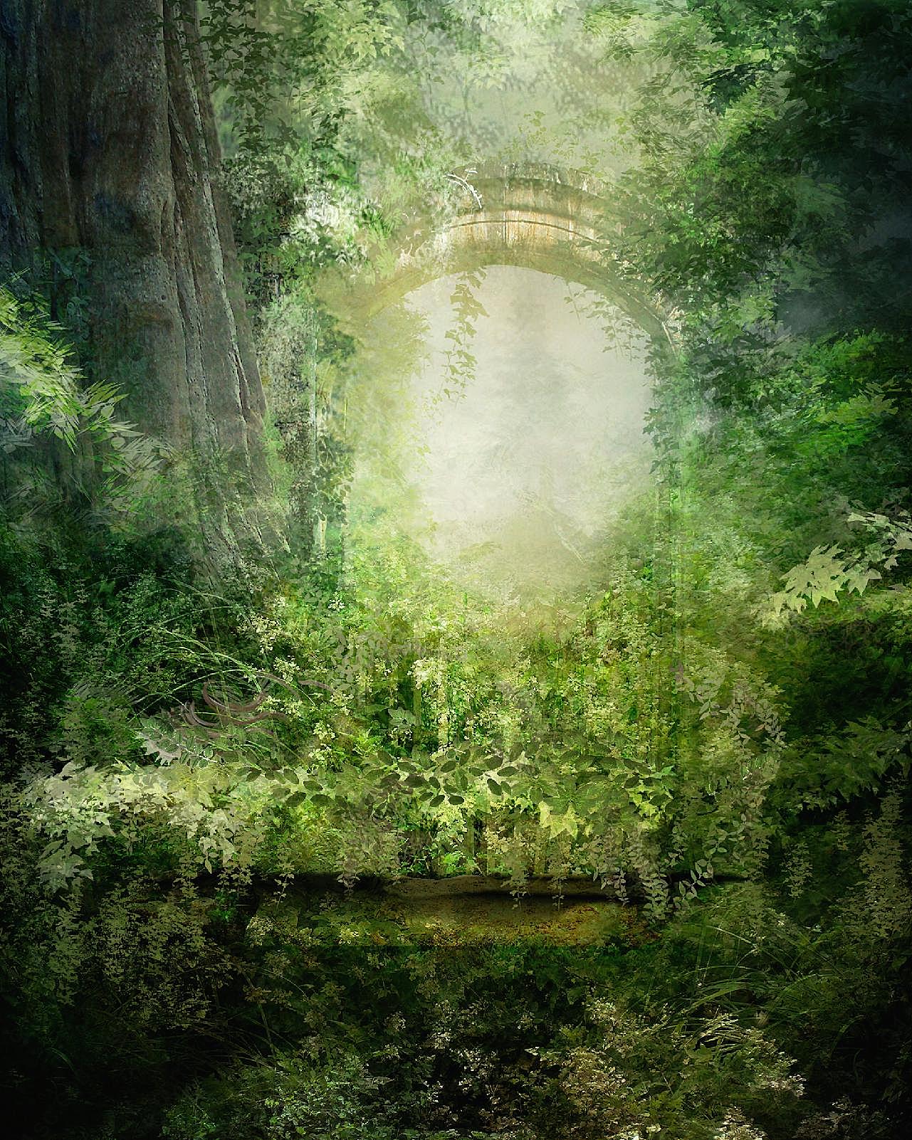 高清梦幻森林图片下载树林