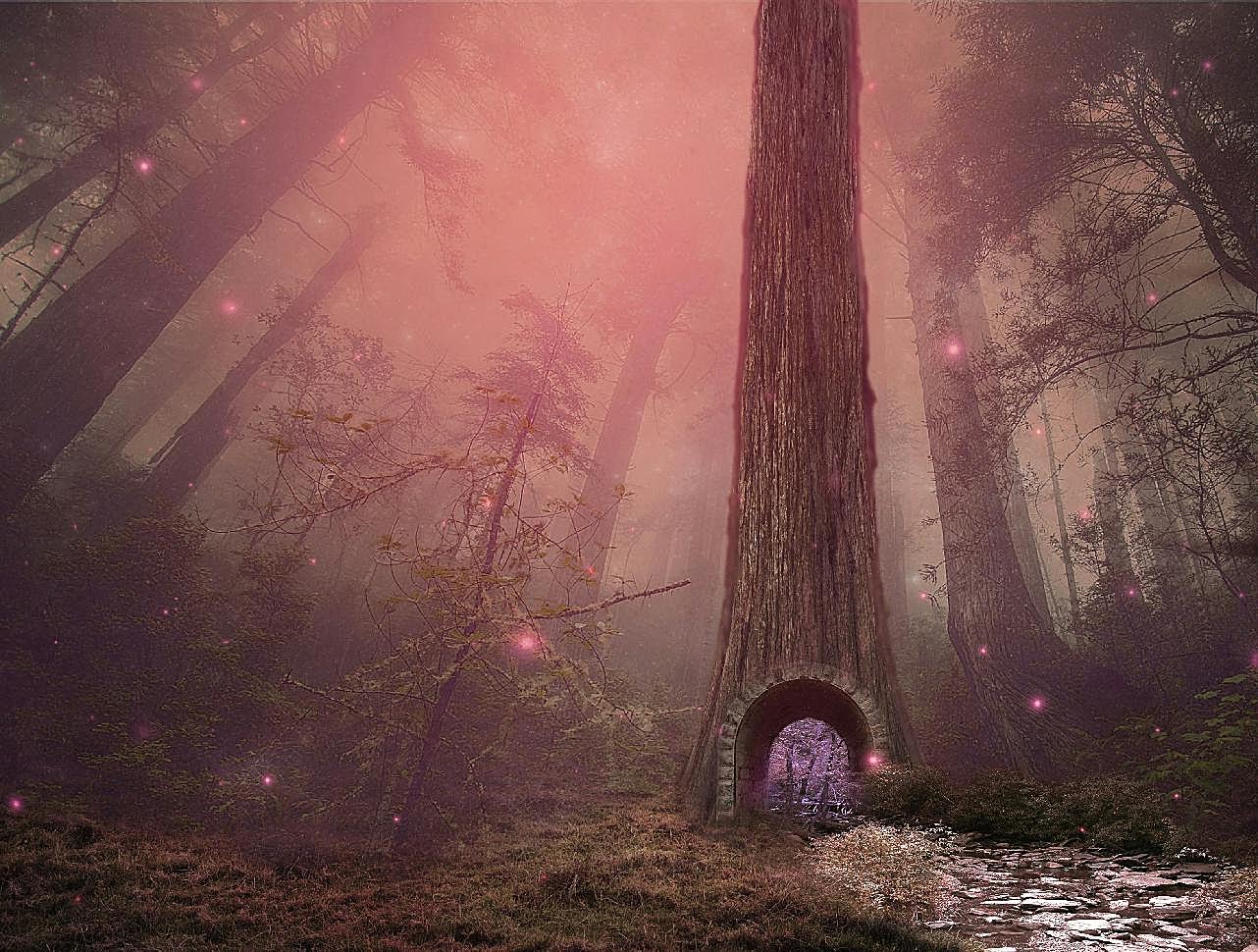 梦幻童话森林图片摄影