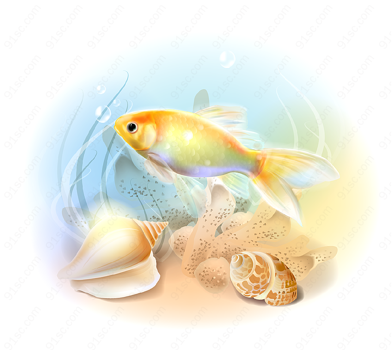 鱼与沙滩上的贝壳水中生物