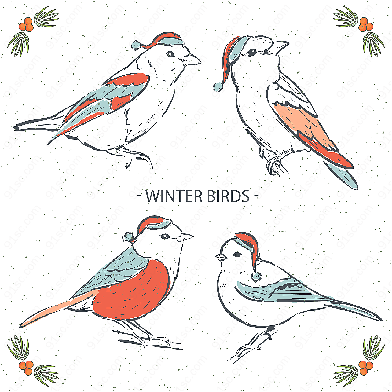 彩绘冬季圣诞鸟类矢量野生动物