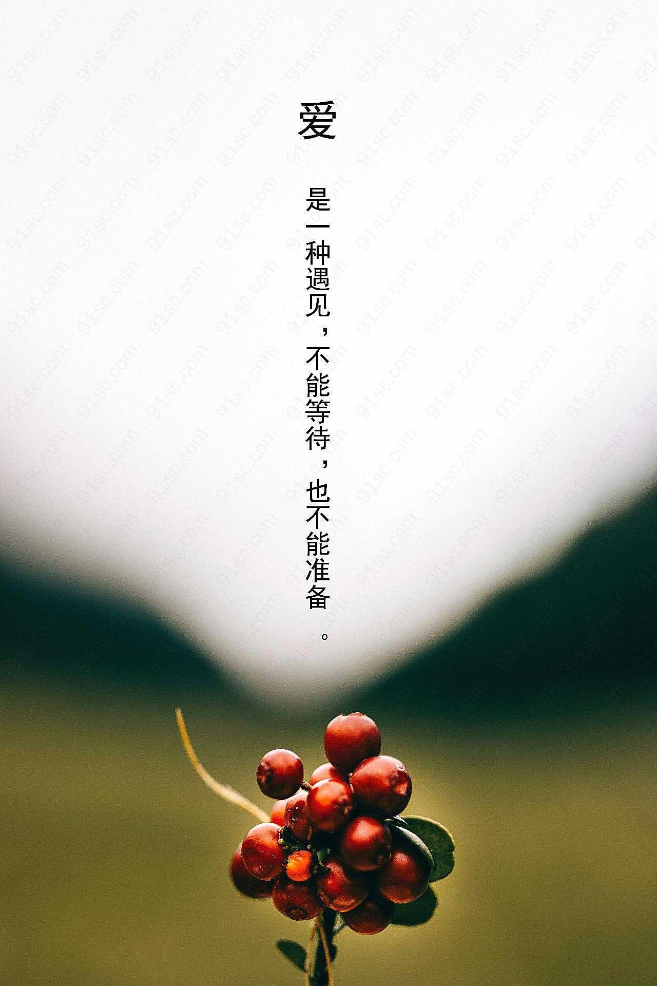 森系文艺范说说图片高清摄影