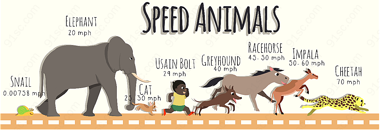 动物奔跑速度信息图矢量野生动物