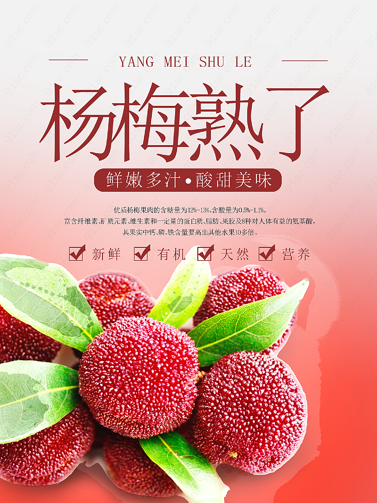 新鲜杨梅水果海报广告设计