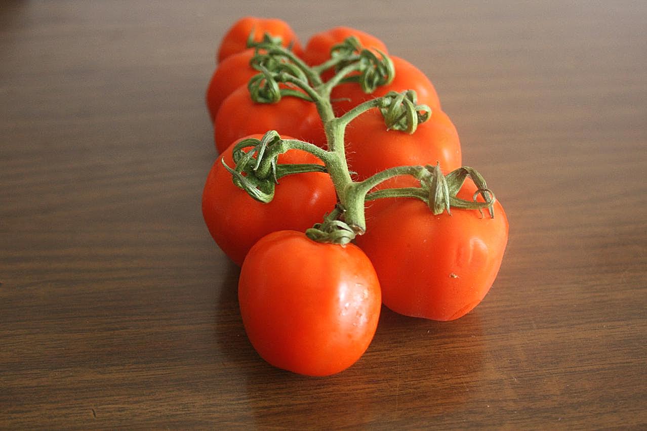 一串番茄图片生物