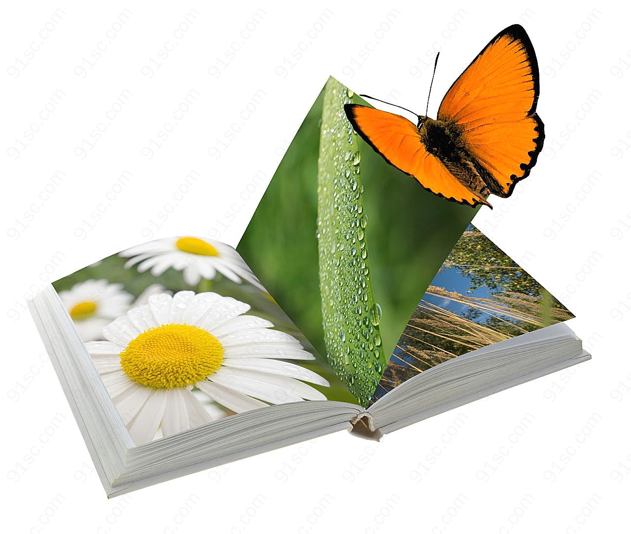自然植物书本图片生活
