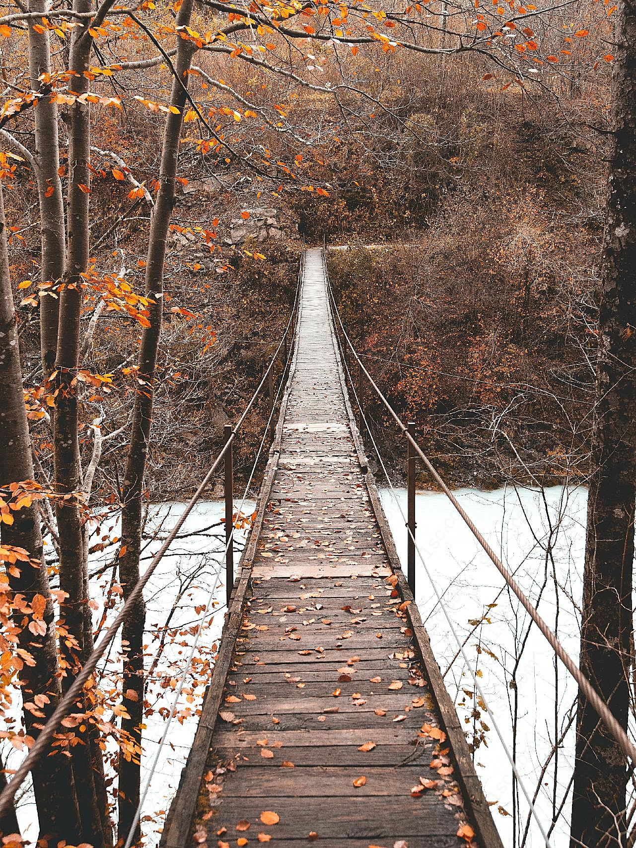 木制吊桥图片摄影