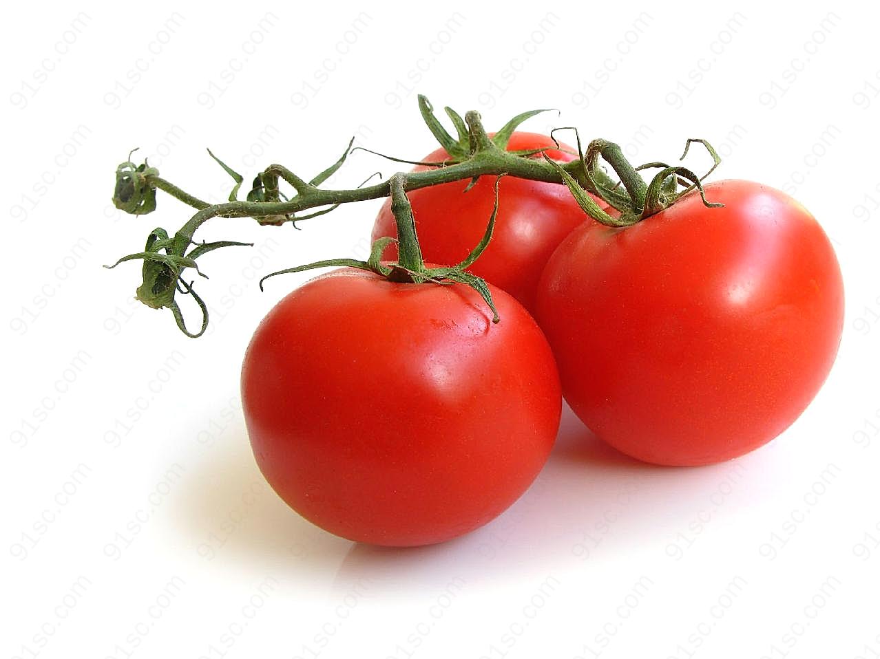 转基因番茄图片生物高清