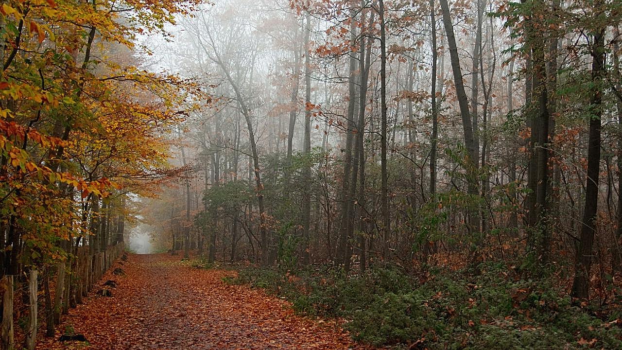 秋天雾霾图片景观自然