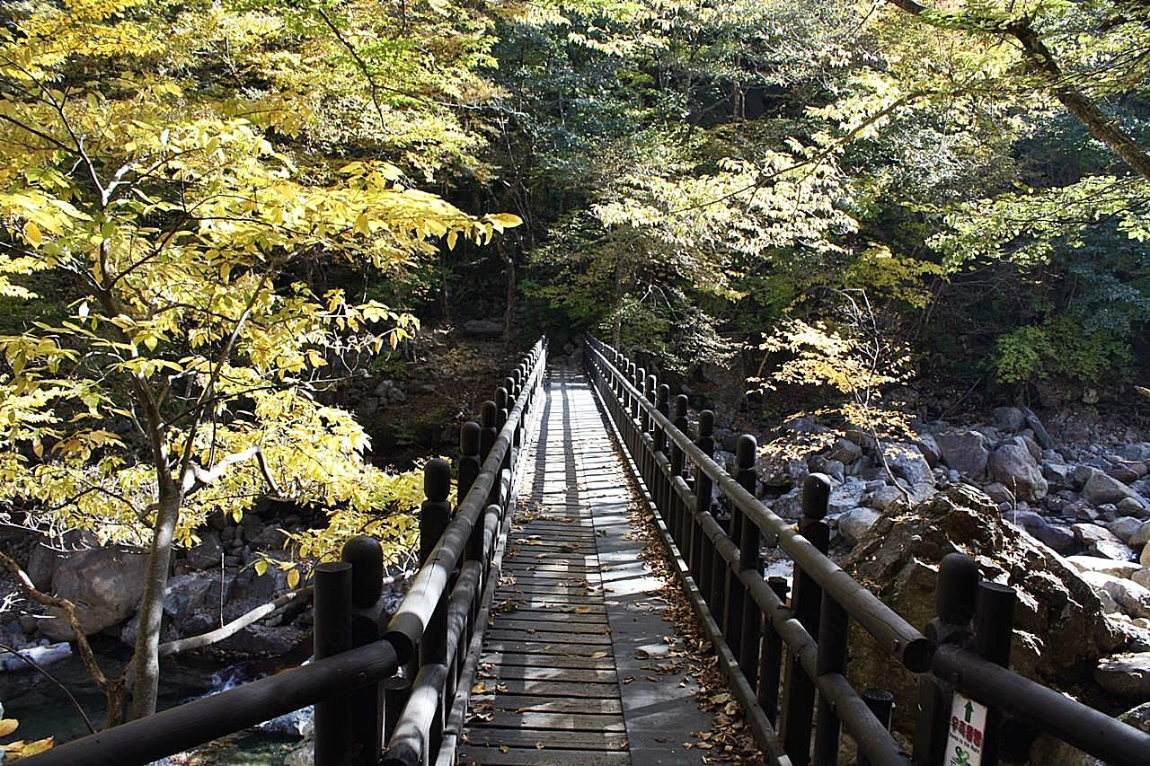 林间木桥风景图片景观