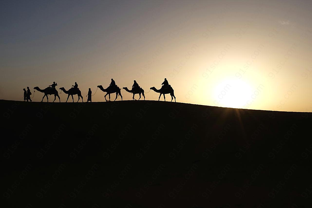 骆驼图片自然景观
