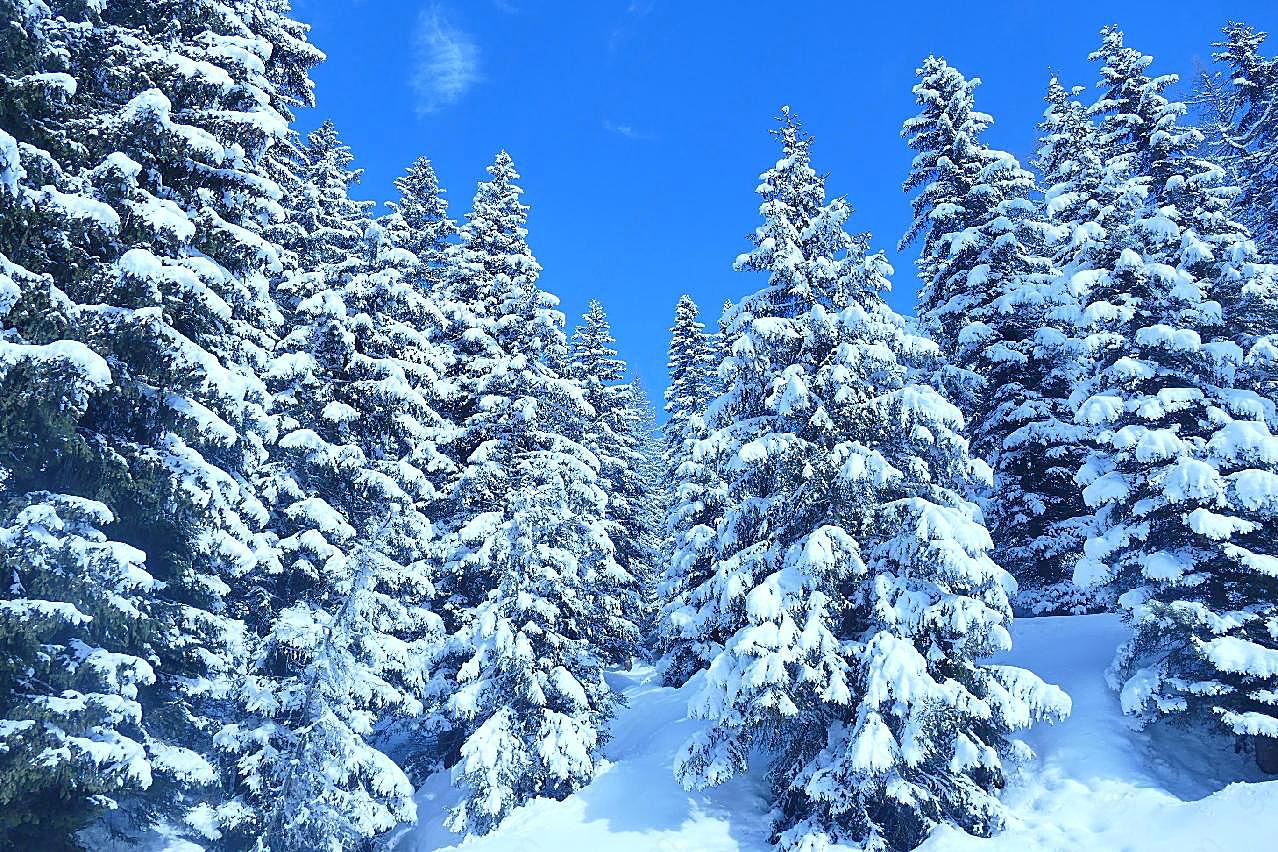 寒冬雪山景观摄影图片雪景