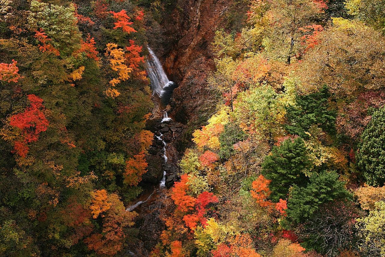 秋季树叶河流风景图片自然
