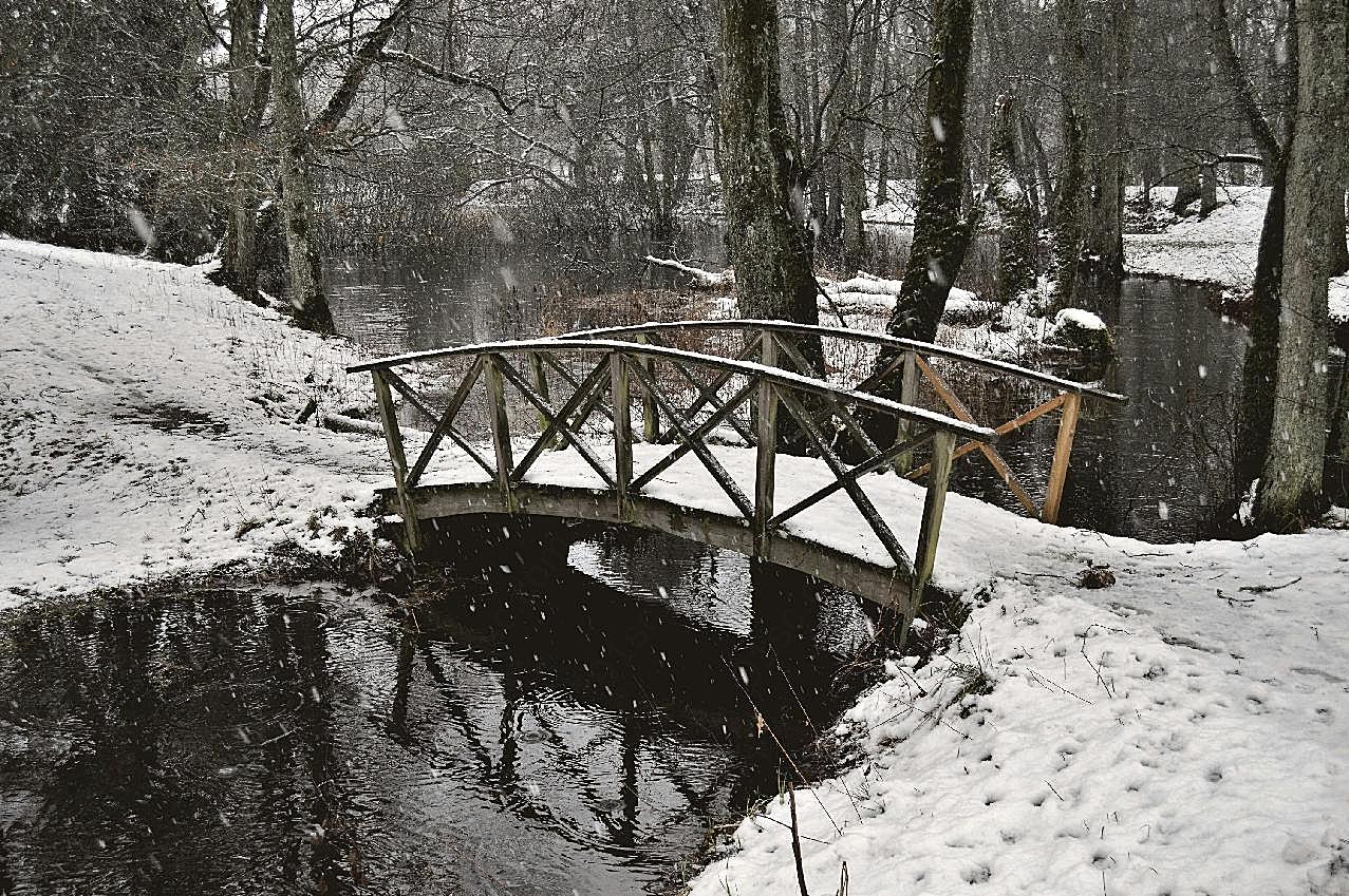 雪中树林木桥图片风景景观