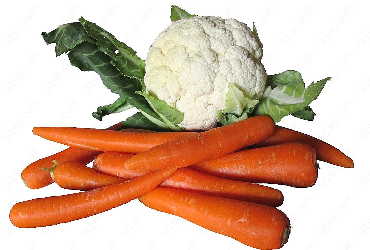 花椰菜和胡萝卜图片生物高清