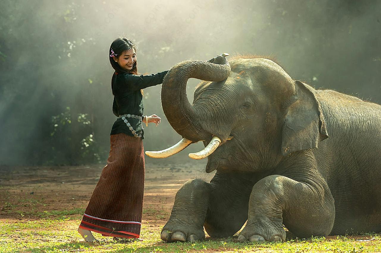 女孩与大象人物情感