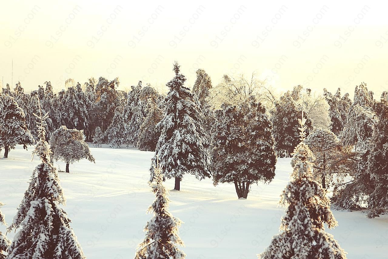 加拿大魁克北图片雪景