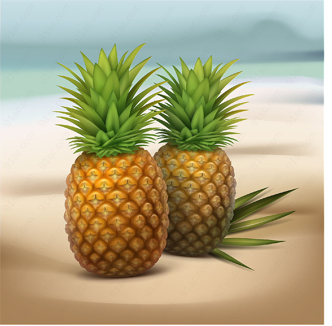 沙滩上的菠萝矢量水果