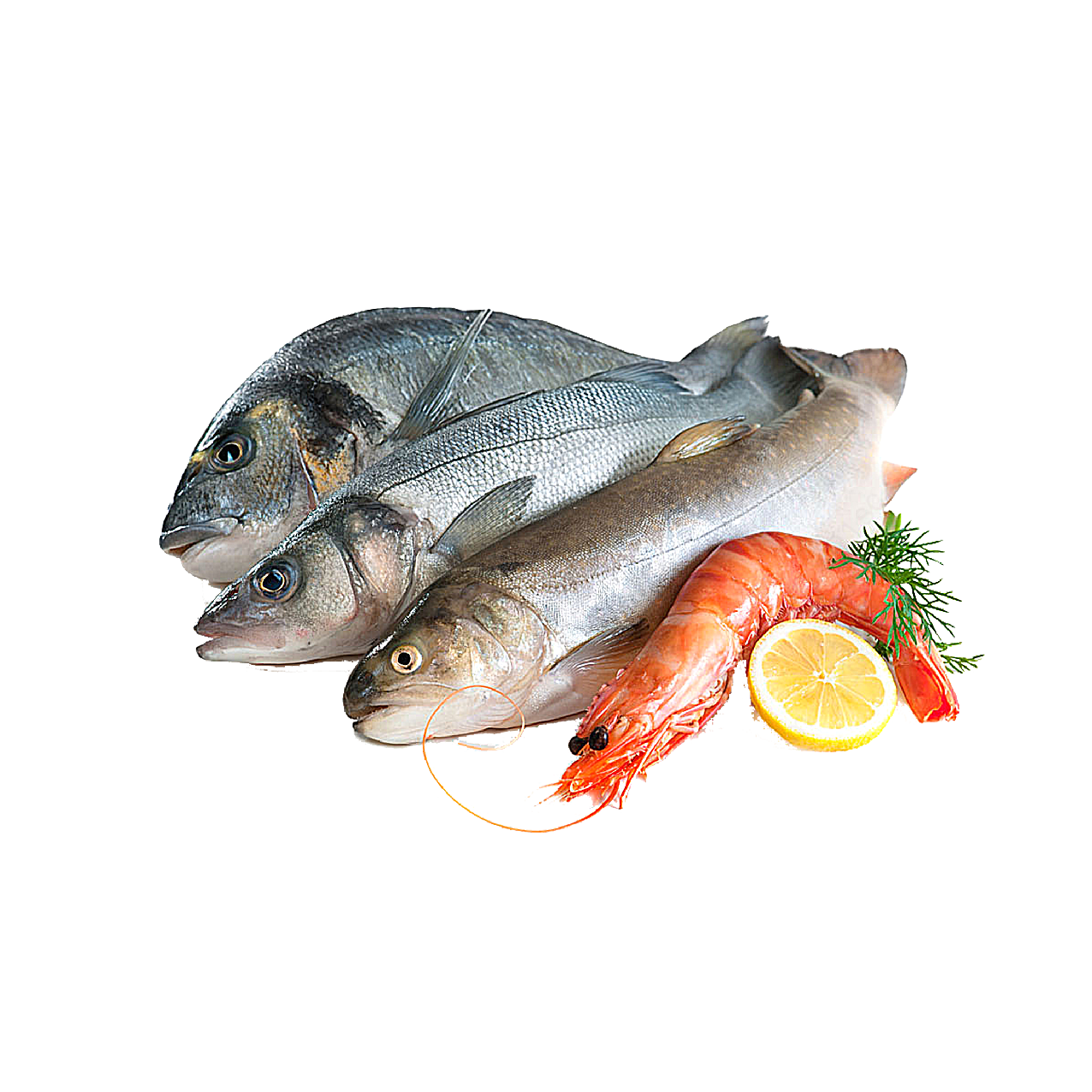 鱼和虾食材食物原料