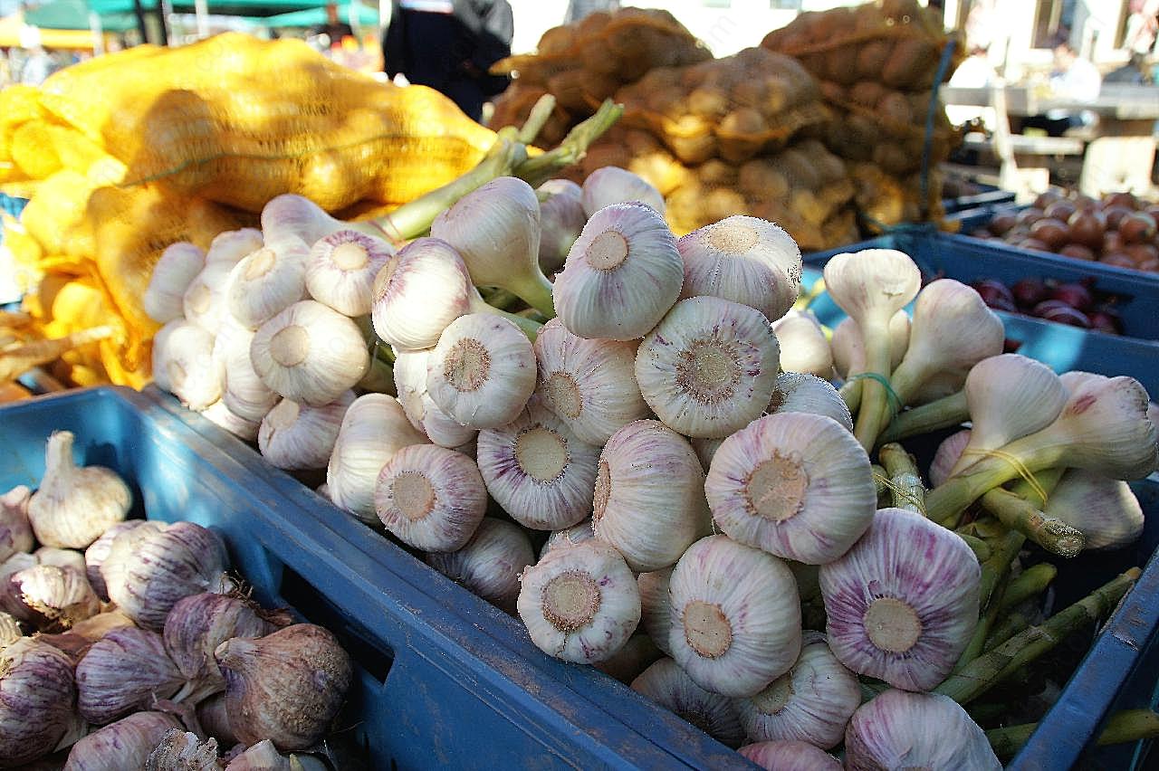 农贸市场蒜头图片生物摄影