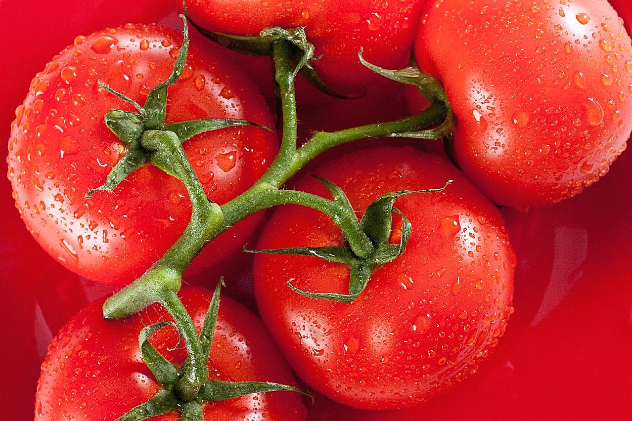 高清西红柿图片下载蔬菜