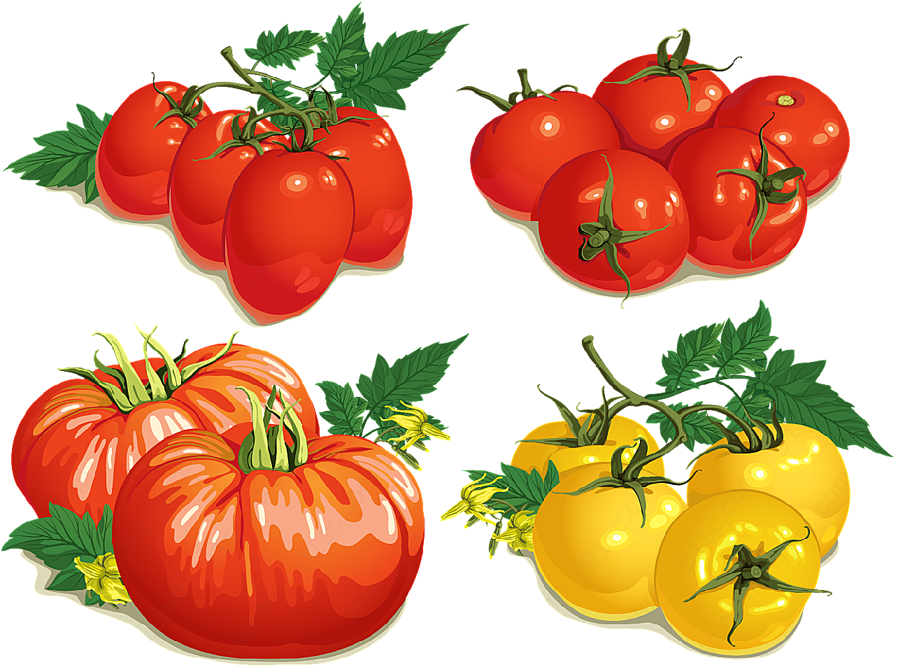 手绘水果西红柿矢量蔬菜