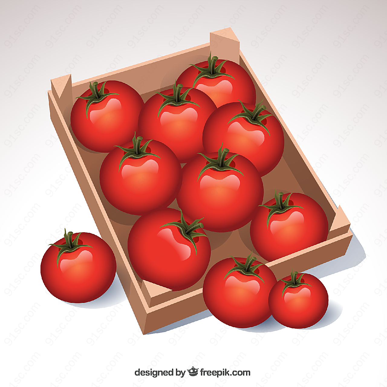 西红柿矢量矢量蔬菜
