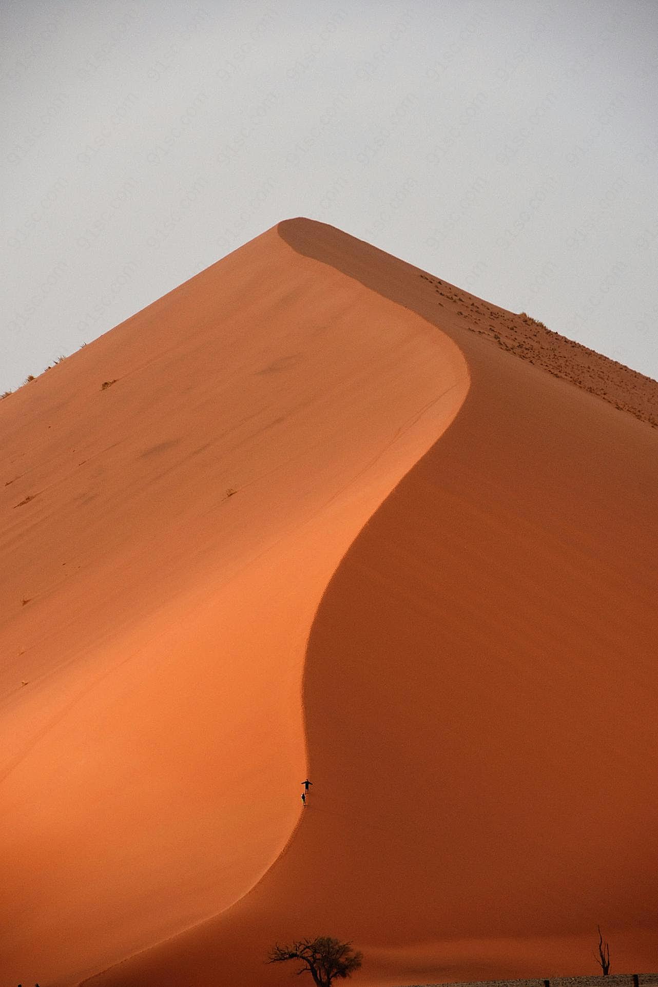 荒漠沙丘特写图片摄影