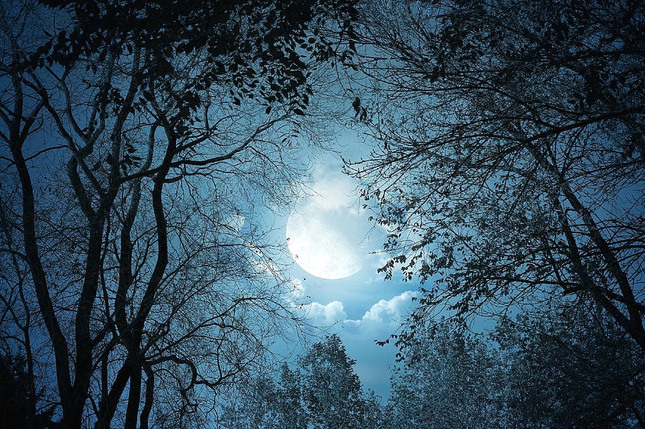 夜晚月亮图片下载风景自然