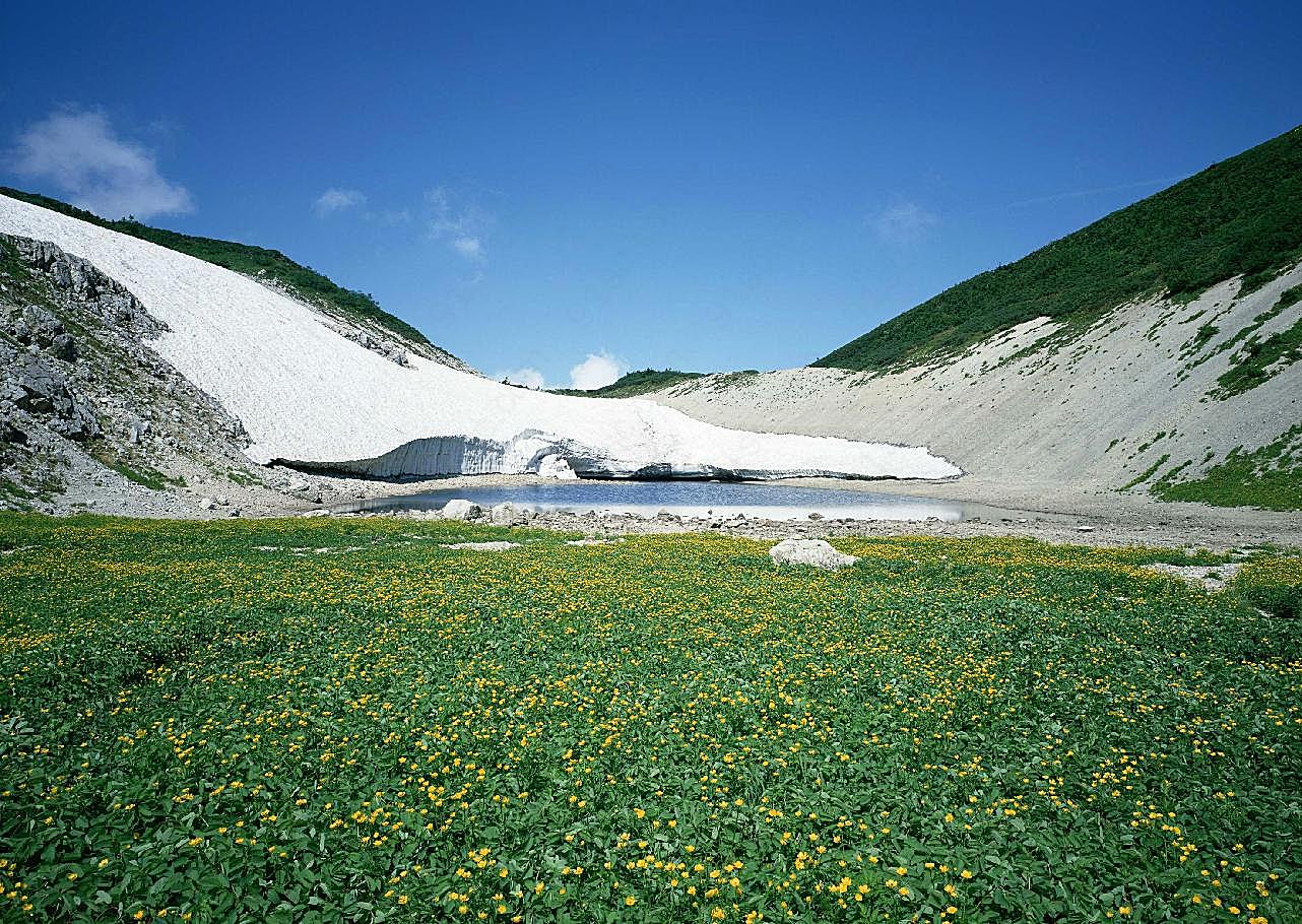 绿树山水124高清