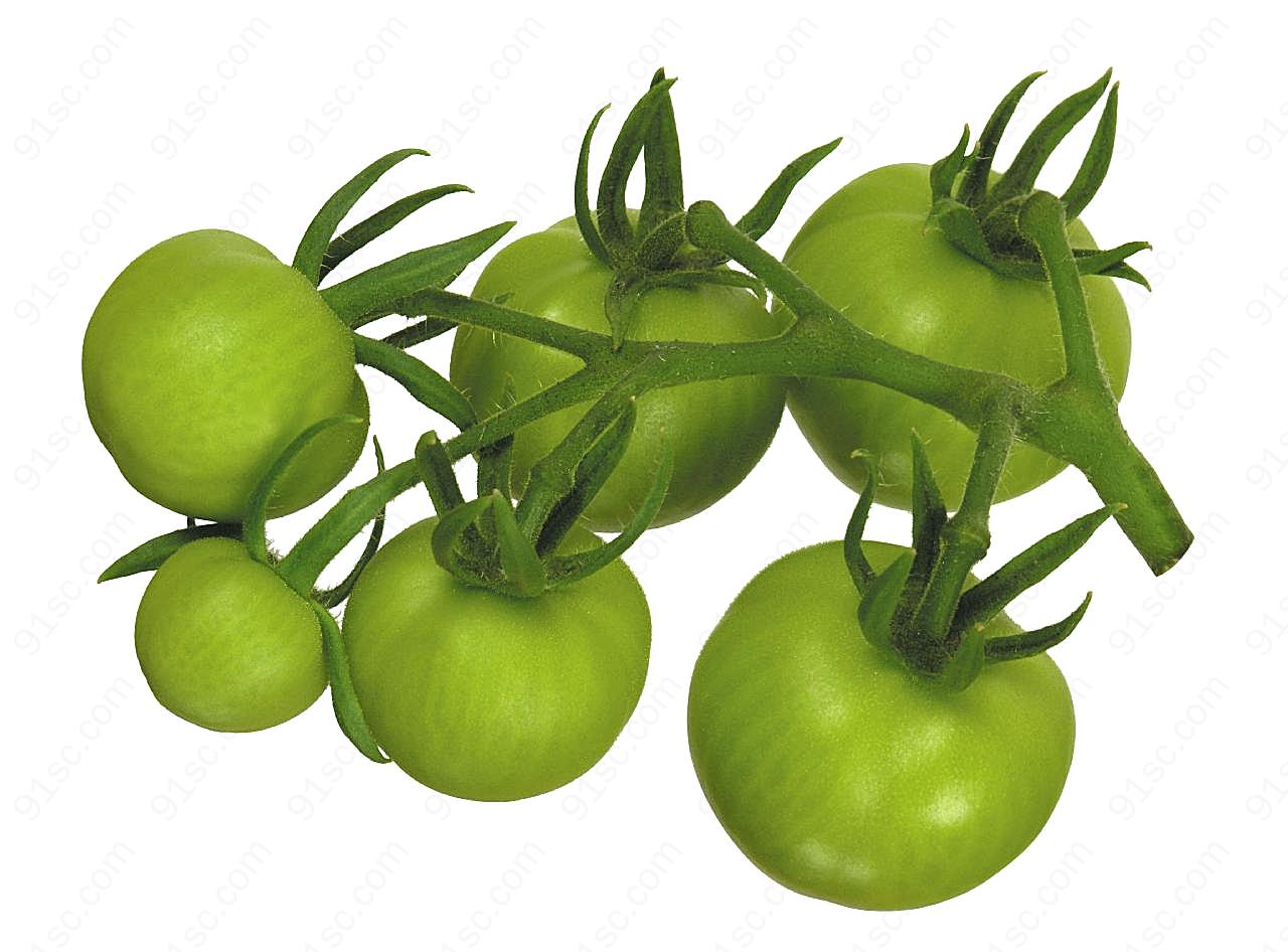 西红柿素材图片下载蔬菜
