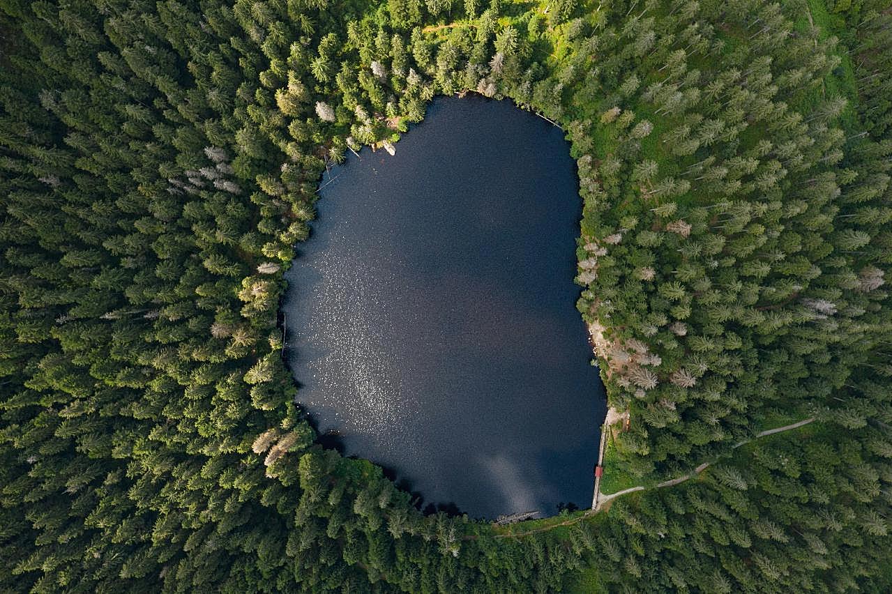 鸟瞰森林里的湖自然