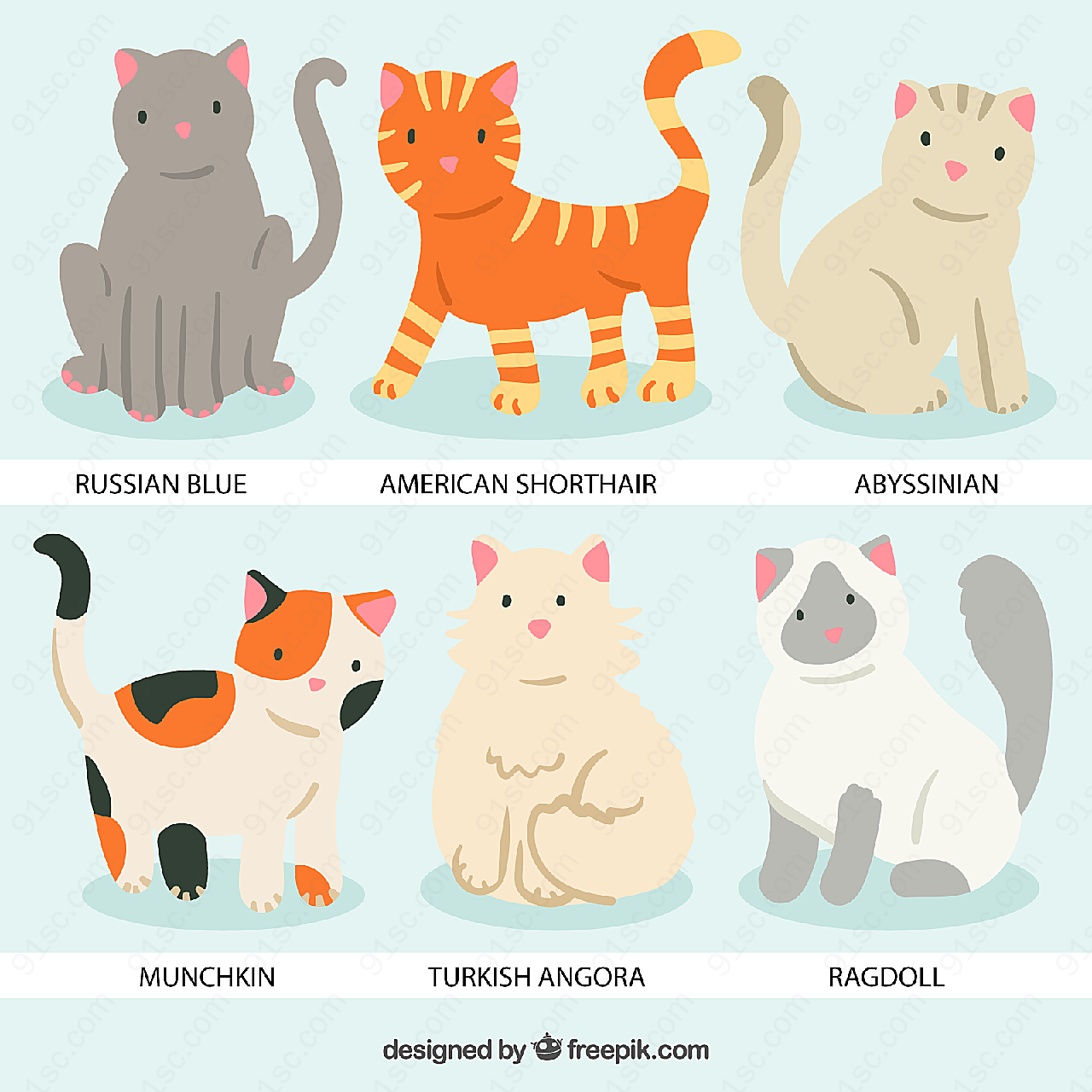 可爱宠物猫矢量卡通动物