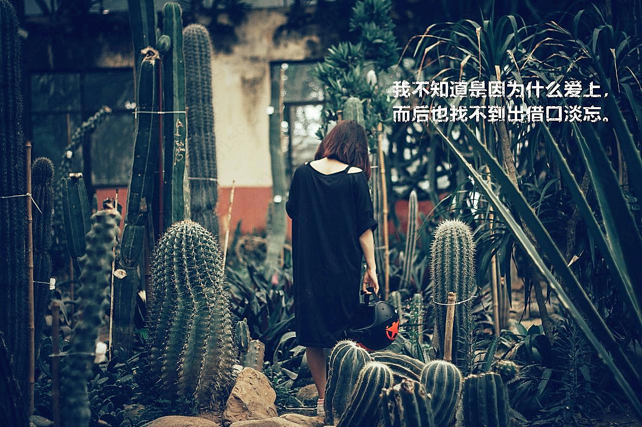女生伤感带字图片文字图片