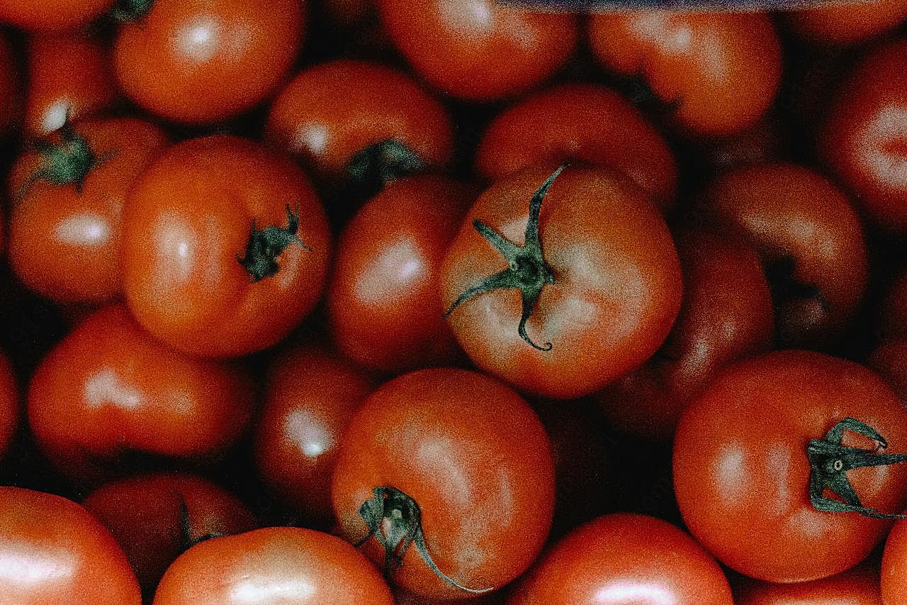自然成熟西红柿图片高清摄影