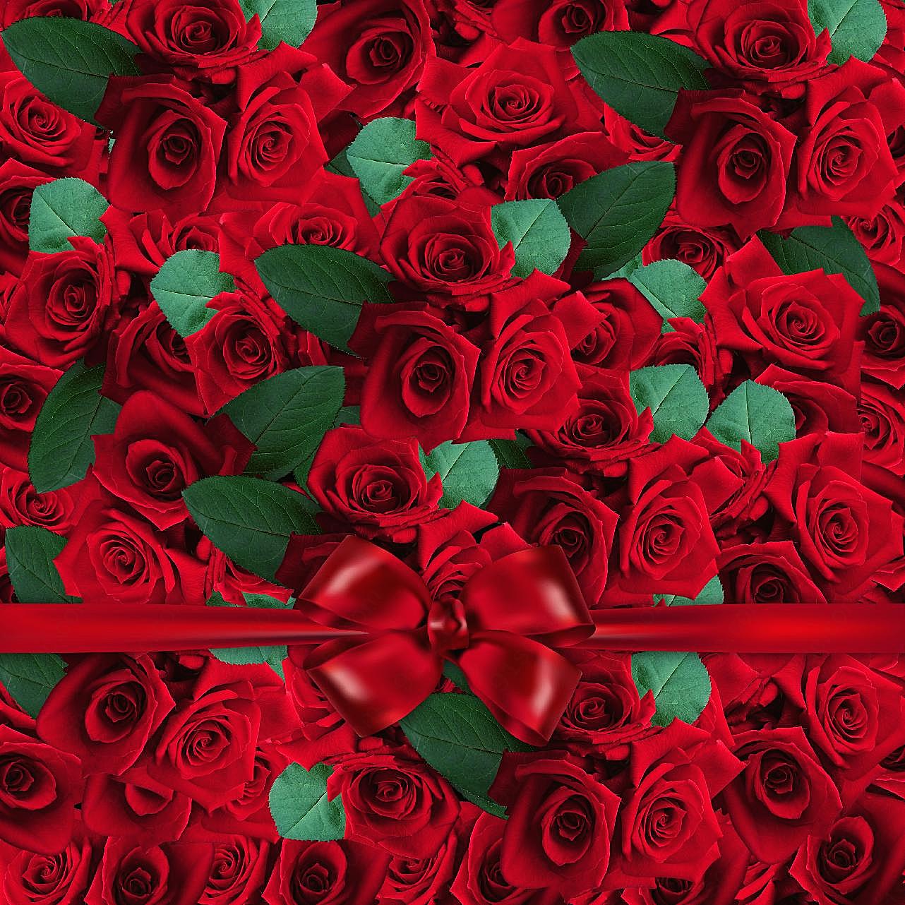 浪漫红玫瑰背景图片摄影高清