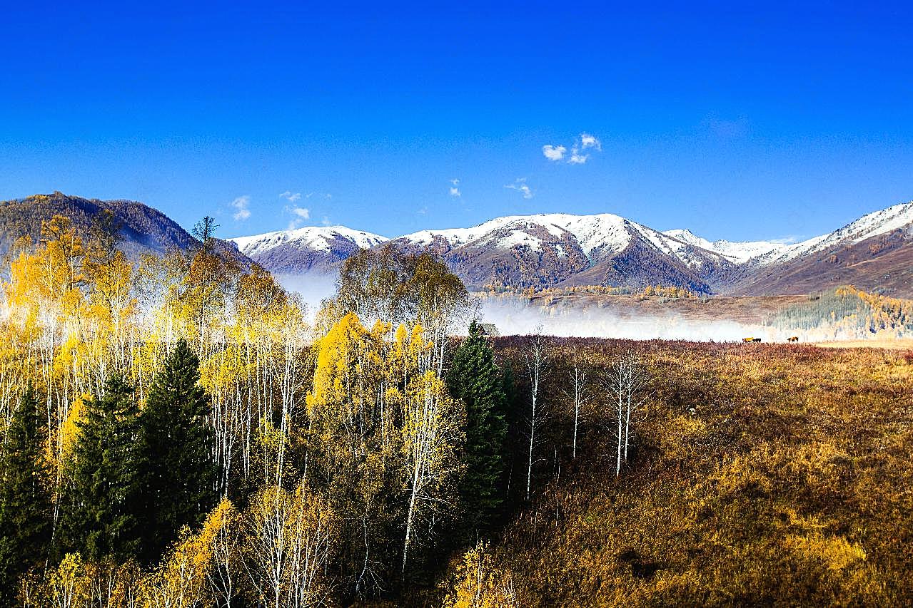中国北疆雪山图片景观