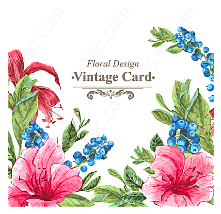 水彩绘花卉卡片矢量名片卡片